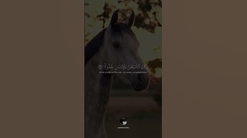 ( وقال الرسول يارب إن قومي اتخذوا هذا القرآن مهجورا ) || بصوت القارئ محمد اللحيدان || سورة الفرقان