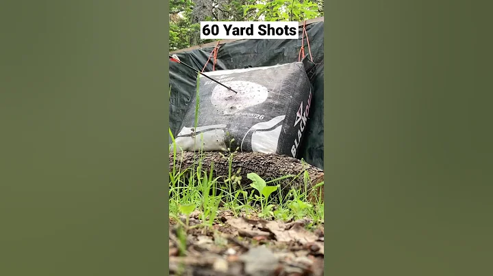 Shooting Bow at 60 Yards
