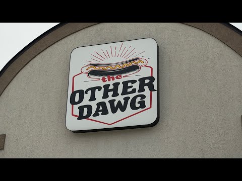 Hot Dog Review at the OTHER DAWG