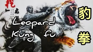 Leopard Kung Fu For Beginners / Step By Step Full Tutorial / 初级豹拳