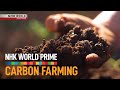 Carbon farming a climate solution under our feet  nhk world prime