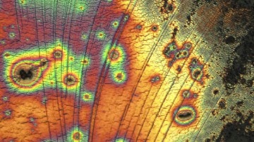 Stretchable electronics