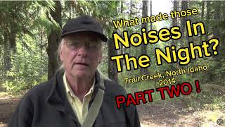 What Made Those Noises In The Night? Part two
