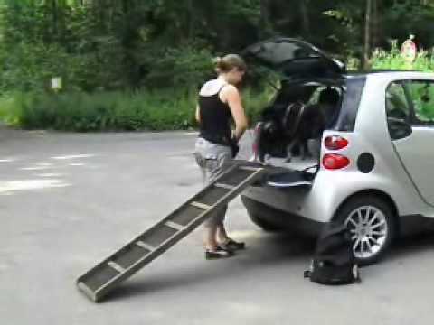Nicht ohne meine Hunderampe - YouTube