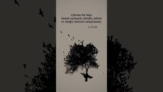 Çalınan Her Kapı Hemen Açılsaydı; Ümidin, Sabrın Ve Isteğin Derecesi Anlaşılmazdı.