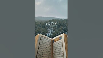 #القرآن_الكريم #quran 🤍💮 #اسلام_صبحي #سورة_الذاريات #راحة_نفسية #حالات_واتس