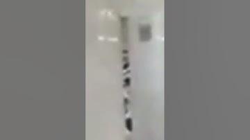 "وخشعت الأصوات للرحمن فلا تسمع إلا همسا" تلاوة قديمة خاشعة من المسجد النبوي || حسين آل الشيخ