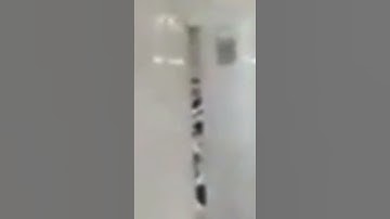 "وخشعت الأصوات للرحمن فلا تسمع إلا همسا" تلاوة قديمة خاشعة من المسجد النبوي || حسين آل الشيخ