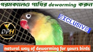 গরমকালেও পাখির কৃমির কোর্স করুন//Natural way of deworming for yours birds।