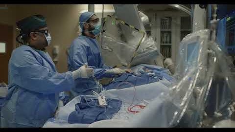 DyeVert EZ Product Overview