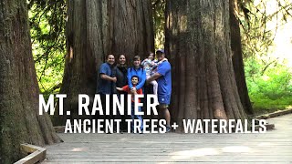 Grove of Patriarchs and Silver Falls // Mt. Rainier National Park