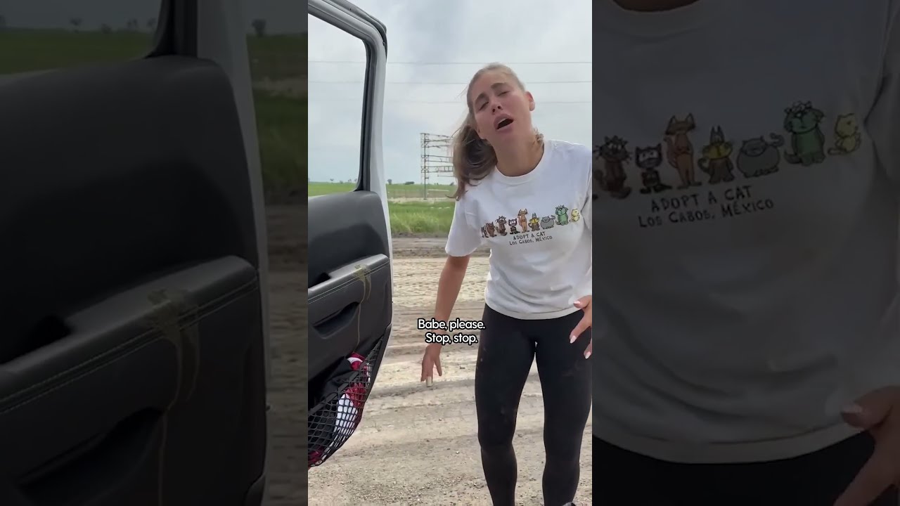 What Rescuing A Puppy Is Actually Like The Dodo
