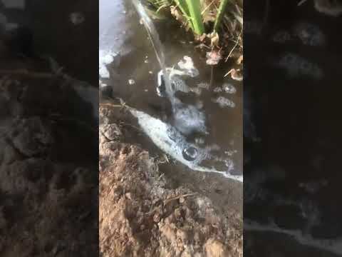 ٩ أسمع صوت الماء ماشاء الله تبارك الله