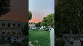 IMG 0321