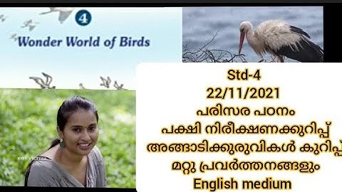 # first Bell class STD -4- EVS - Wonder World of birds #22/11/2021