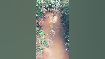 #music #rock #cover #beautiful #afternoon #doors