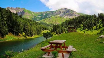 سورة العلق بصوت القارئ يوسف نوح أحمد برواية هشام عن ابن عامر  Alak Suresi# Surah Al-Alaq