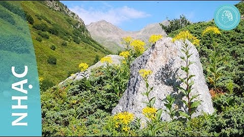 Sự kết nối – nhạc thiền và tranh thiên nhiên – bởi những người bạn của Bruno Gröning