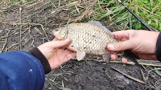 видео: Плохая погода рыбалке не помеха. Рыбалка осенью 2024. #fishing #рыбалка #карп #донка #отдых #природа картинка: Плохая погода рыбалке не помеха. Рыбалка осенью 2024. #fishing #рыбалка #карп #донка #отдых #природа