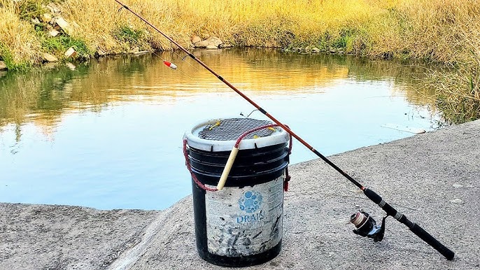 The BEST RIG for COLD WATER Catfish!! (I could barely keep a rod