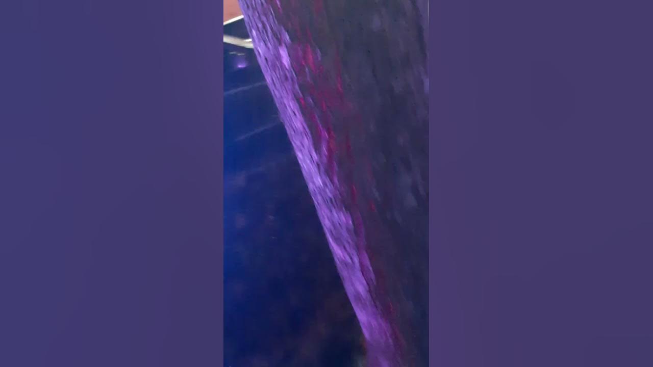 Shooting In Saint Paul Minnesota At The Nickel Joint Bar saintpaul 