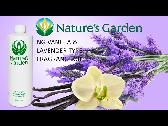 NG Vanilla Lavender Type Fragrance Oil - Nature's Garden Candles