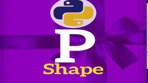 #16 Using Python Program Printing Patterns For Beginners By B.Mandal | P Shape