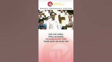 Phó Thủ tướng Trần Lưu Quang: Xin nhận khuyết điểm trước Quốc hội và bà con