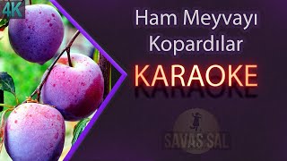 Ham Meyvayı Kopardılar Dalından Karaoke Türkü Resimi