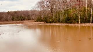 Hellen Creek Watershed - Video Four - 03/23/24