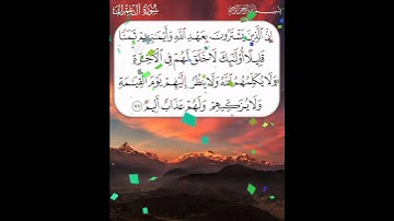 سورة آل عمران الآية ( 77 )
