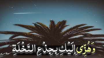 وَهُزِّي إِلَيْكِ بِجِذْعِ النَّخْلَةِ تُسَاقِطْ عَلَيْكِ رُطَبًا جَنِيًّا ||  حسن صالح || سورة مريم