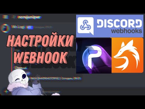 Настраиваем Webhook на телефоне! Лучшая настройка логов и Webhook!!!