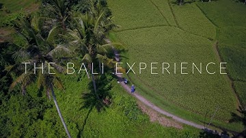 Volunteeer in Bali with Yayasan Widya Sari