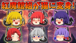 【ゆっくり茶番】猫になった紅魔館組の思い出