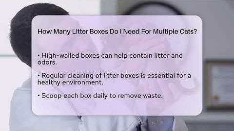 How Many Litter Boxes Do I Need For Multiple Cats? - Ask A Pet Vet