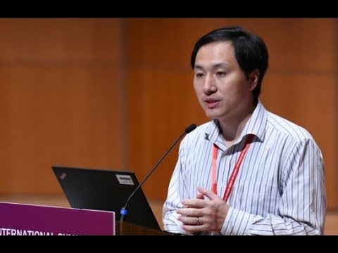 Chinese scientist He