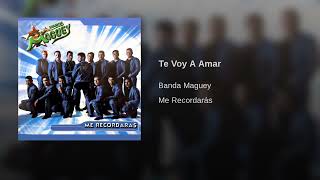 Banda Maguey – Te Voy A Amar (AUDIO)