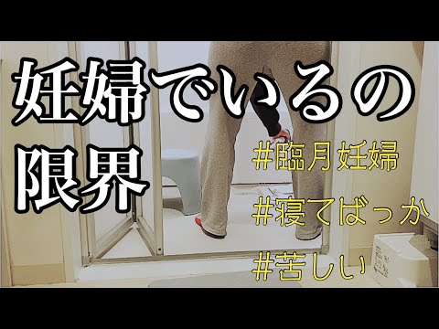 【39週】夜勤明けの夫がいる一日/最後の妊婦健診/産まれる気配なし【vlog】