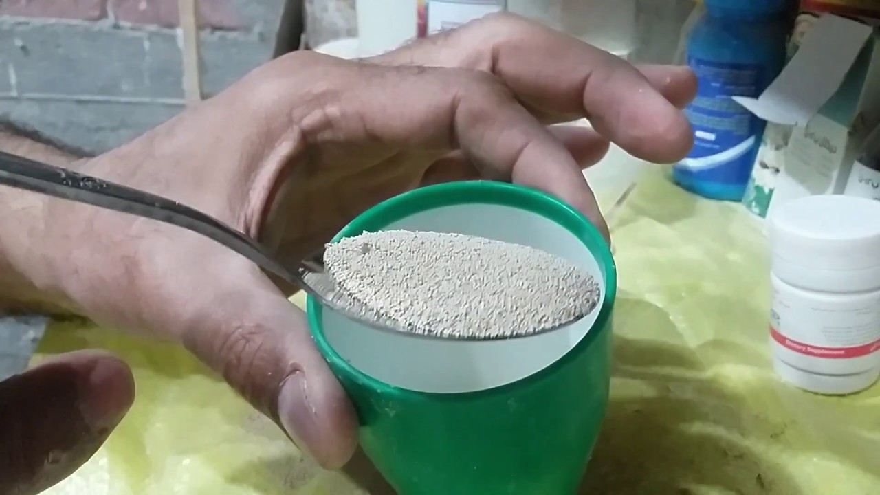 الخميرة واهميتها للحمام بعد المضادات الحيوية