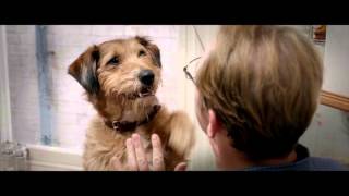 Dennis The Talking Dog Robin Williams - Absolutely Anything