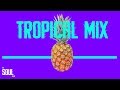 TROPICAL MIX - DJ SOUL CIX