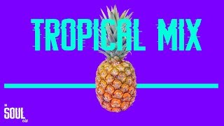 TROPICAL MIX - DJ SOUL CIX