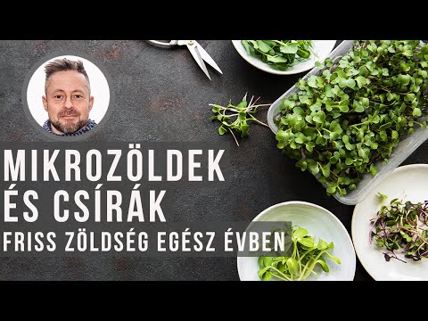 Videó: Milyen fák zöldek télen?