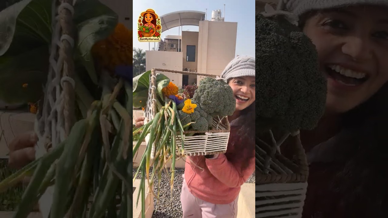 Suno aur batao💚 | January Ka Last Harvest | KYA MILA? GetMyHarvest