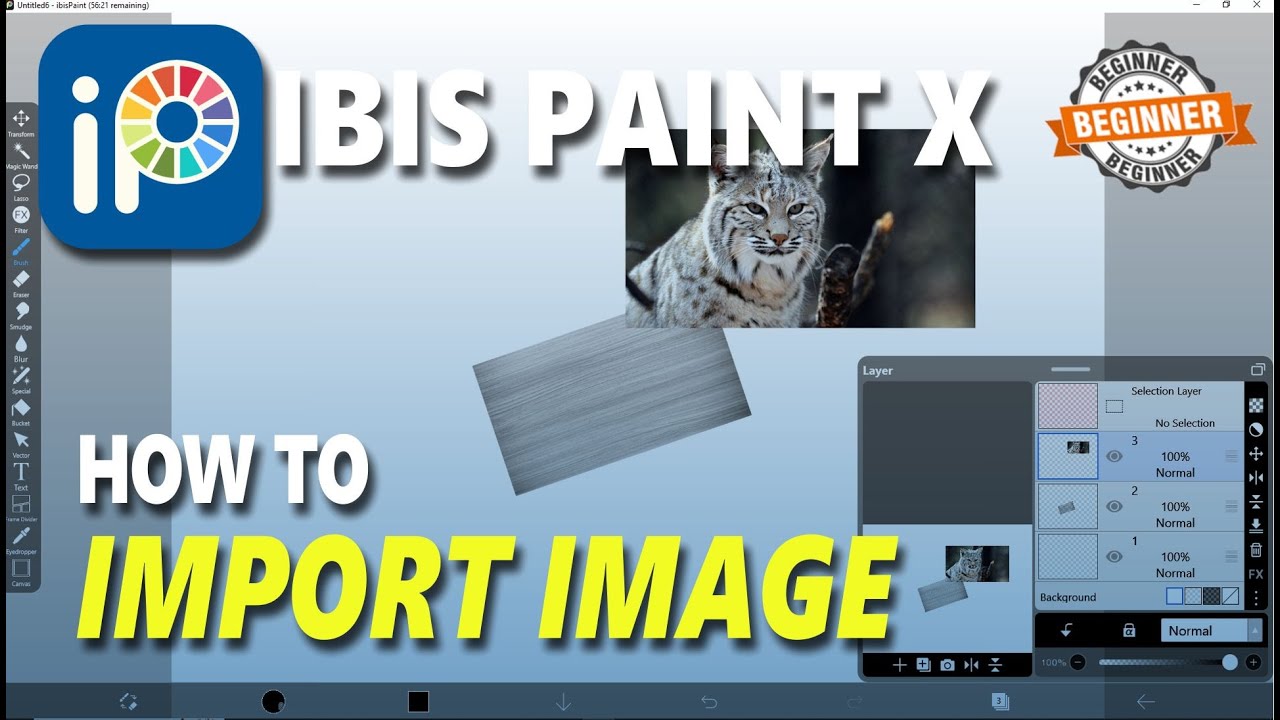 Ibis Paint X How To Import Image - YouTube