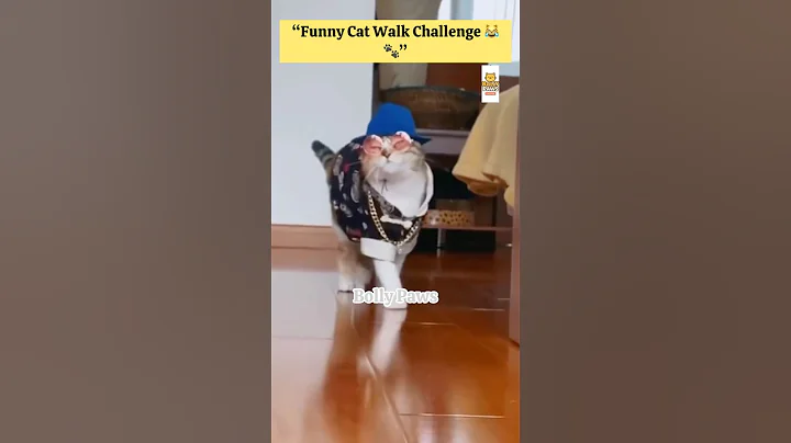 Watch the video about “Funny Cat Walk 😹🐾”#cat#cats#trending#shorts#cute#funny#kitten#pets#meowcats