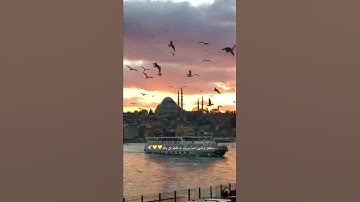 ان الله عنده علم الساعة تلاوة القارئ اسلام صبحي