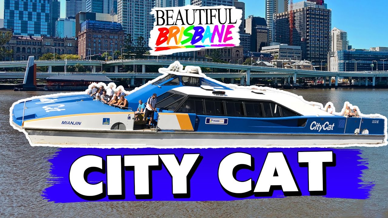 City Cat - Beautiful Brisbane
