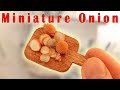 Miniature Onion Tutorial // Polymer Clay Food